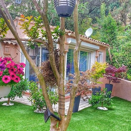 לינה וארוחת בוקר מאנדליה-לה-נאפול Dans Un Jardin Bb Et Jacuzzi מראה חיצוני תמונה
